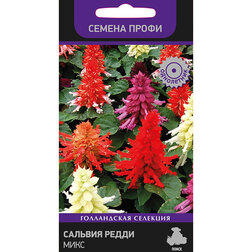 ������ ������ ������� ����� ���� (������ �����)   ����