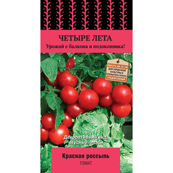 ������ ������ ����� ������� ������� (������ ����)   ����