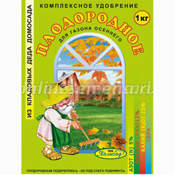 ������ ������ ����������� ��������� ����������� �����-����� (1��) 