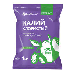 ������ ������ ����� ��������� (1��.)   ����