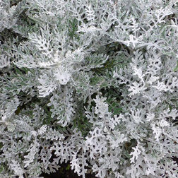 ������ ������ ��������� ����������� (1��-5 000��) ���������������� ������   ����