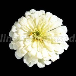 ������ ������ ������ ������ ���� (1��-250 ��) ���������������� ������   ����