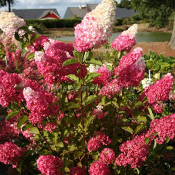 ������ ������ ��������� ����������� ����� �����   ����