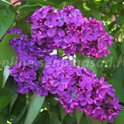 ������ ������ ������������ ������ ������������ ������� ������   ����