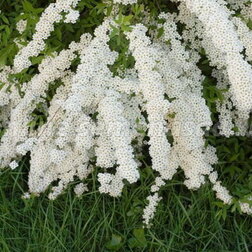 ������ ������ ������� ������ ������ (3 ��.)   ����