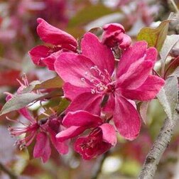 ������ ������ ������ ������������� ������   ����