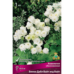 ������ ������ ��������� ������������ ����� ���� ���� ��� ����   ����