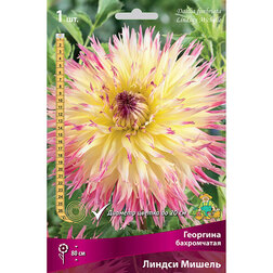 ������ ������ �������� ����������� ������ ������   ����