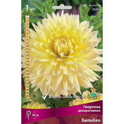 ������ ������ �������� ������������ �������   ����