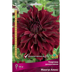 ������ ������ �������� ������������ ������ �����   ����