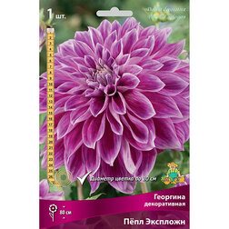 ������ ������ �������� ������������ ���� �������� (1 ��.)   ����