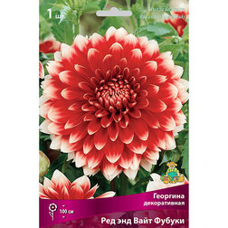 ������ ������ �������� ������������ ��� ��� ���� ������ (1 ��.)   ����