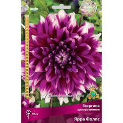 ������ ������ �������� ������������ ���� ����� (1 ��)   ����