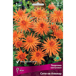 ������ ������ �������� ���������� ���� �� �������   ����