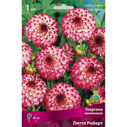 ������ ������ �������� ��������� ����� ������   ����