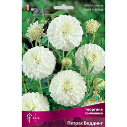 ������ ������ �������� ��������� ������ �������   ����