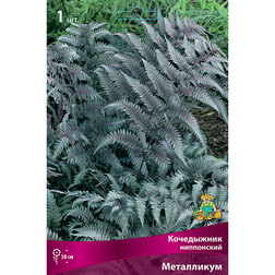 ������ ������ ���������� �������� ����������   ����