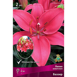 ������ ������ ����� ��������� ��������� ������ (2 ��.)   ����