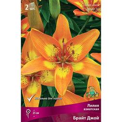 ������ ������ ����� ��������� ��������� ����� ����, 2 ��.   ����