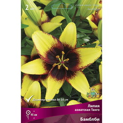 ������ ������ ����� ��������� ����� ������� (2 ��.)   ����