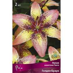 ������ ������ ����� ��������� ����� ������ ����� (2 ��.)   ����