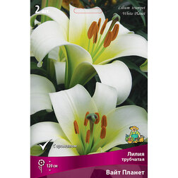 ������ ������ ����� ��������� ���� ������ (2 ��.)   ����