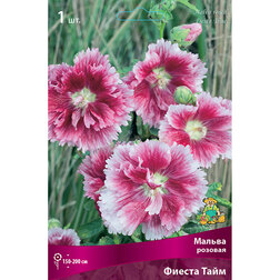 ������ ������ ������ ������� ������ ����   ����