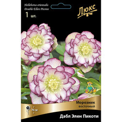 ������ ������ �������� ��������� ���� ���� ������*   ����