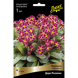 ������ ������ ������� ��������� ���� �������*   ����