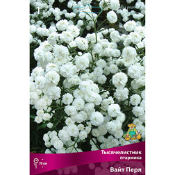 ������ ������ ������������� �������� ���� ����   ����