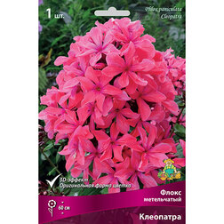 ������ ������ ����� ����������� ���������   ����