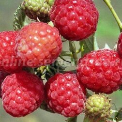 ������ ������ ������� ������ ������������ ������   ����