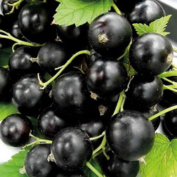 ������ ������ ��������� ������ ����������� - 2   ����