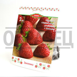 ������ ������ ��������� ������� ������� (3 ��.)   ����