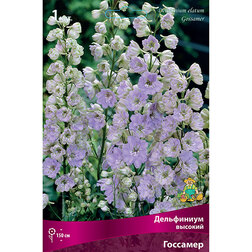 ������ ������ ���������� ������� ��������   ����