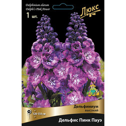 ������ ������ ���������� ������� ������� ���� ����*   ����