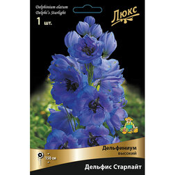 ������ ������ ���������� ������� ������� ��������*   ����