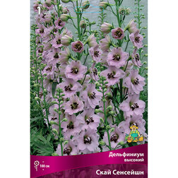 ������ ������ ���������� ������� ���� ��������   ����