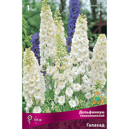 ������ ������ ���������� ������������� �������   ����