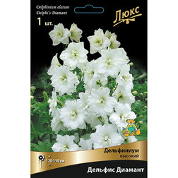 ������ ������ ���������� ������� ������� �������*   ����