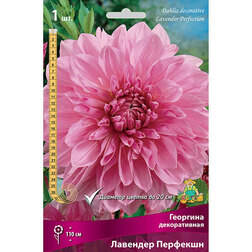 ������ ������ �������� ������������ �������� �������� (1 ��.)   ����