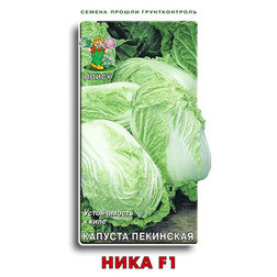 ������ ������ ������� ��������� ���� F1   ����