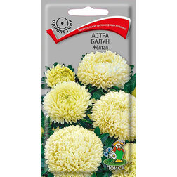 ������ ������ ����� ����� Ƹ����   ����