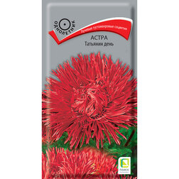 ������ ������ ����� �������� ����   ����