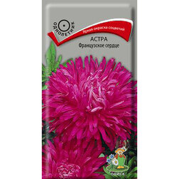 ������ ������ ����� ����������� ������   ����