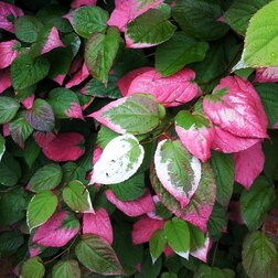 ������ ������ ��������� ��������� ����   ����