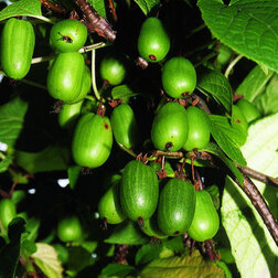 ������ ������ ��������� ��������� ������������   ����