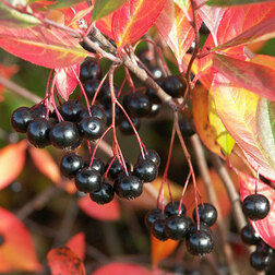 ������ ������ ������ ������������ �����   ����