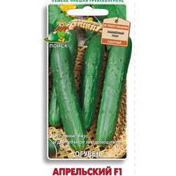 ������ ������ ������ ���������� F1   ����