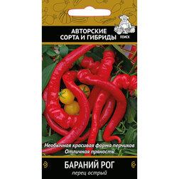 ������ ������ ����� ������ ������� ���   ����